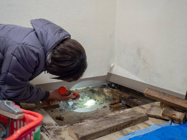 Hamilton College, NY Mold Removal Company