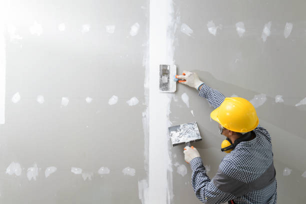 Best Basement Mold Removal  in Hamilton College, NY