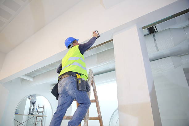 Best Water Damage & Mold Remediation  in Hamilton College, NY