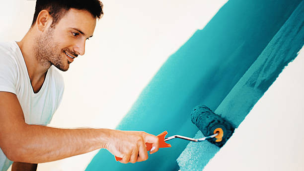 Best Mold Damage Restoration  in Hamilton College, NY