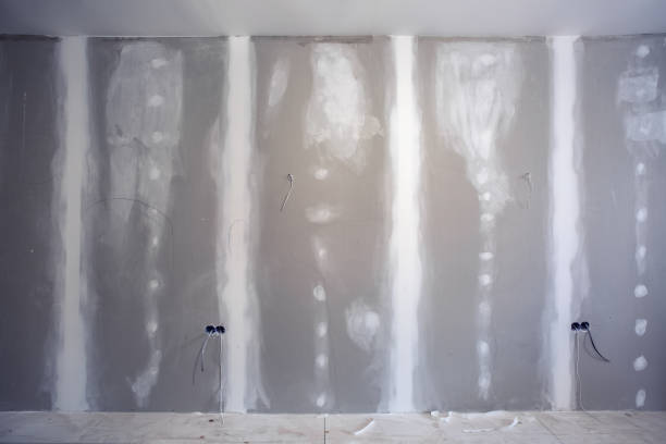 Best Industrial Mold Remediation  in Hamilton College, NY